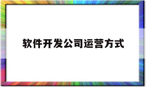 软件开发公司运营方式(软件开发公司的运营)