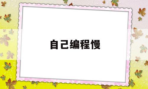 自己编程慢(编程能速成吗)
