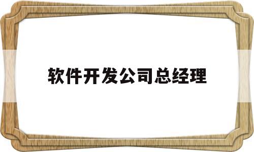 软件开发公司总经理(软件开发公司总经理岗位职责)