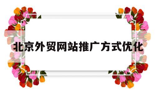 北京外贸网站推广方式优化(北京外贸推广服务公司)