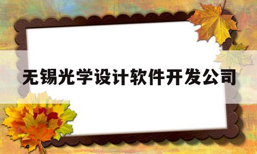 无锡光学设计软件开发公司(无锡光学仪器制造厂)