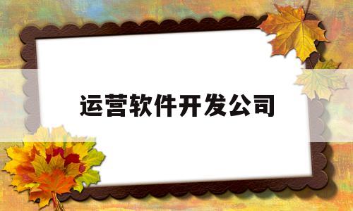 运营软件开发公司(软件开发公司运营模式)