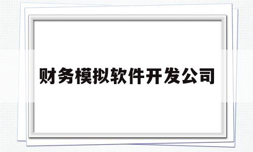 财务模拟软件开发公司(做财务软件的公司)