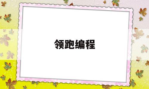 领跑编程(领跑电子有限公司)