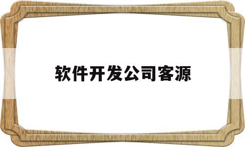 软件开发公司客源(软件开发公司业务)