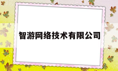 智游网络技术有限公司(智游集团是干嘛的)