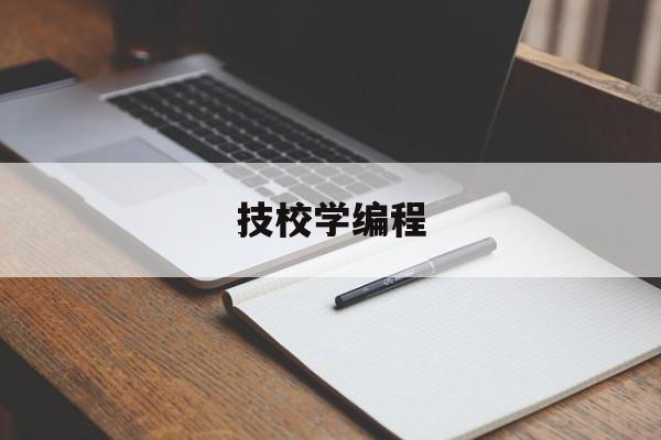 技校学编程(学编程的职业学校)