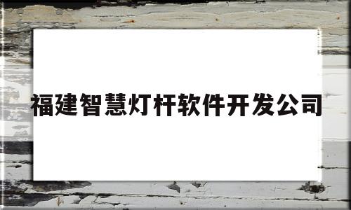 福建智慧灯杆软件开发公司(智慧灯杆建设模式)