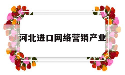 河北进口网络营销产业(河北进口网络营销产业发展)