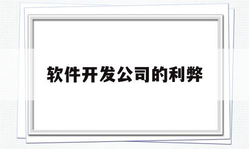 软件开发公司的利弊(软件开发公司发展前景)