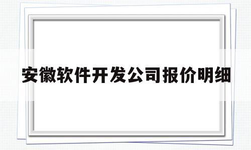 安徽软件开发公司报价明细(安徽app软件系统开发)