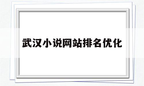 武汉小说网站排名优化(武汉轻小说店)