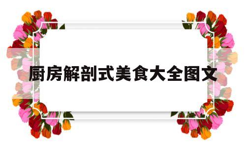 厨房解剖式美食大全图文(厨房结构设计图)