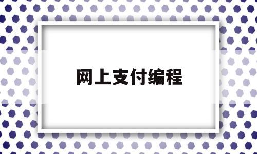 网上支付编程(在线支付网站制作)