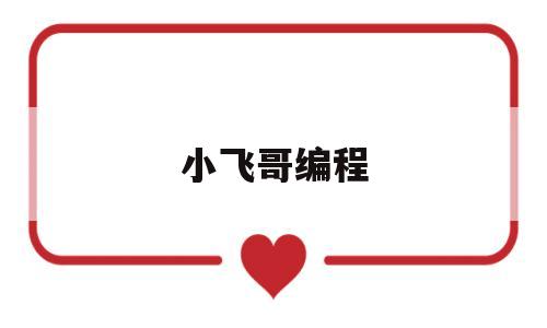小飞哥编程(小飞游戏解说)