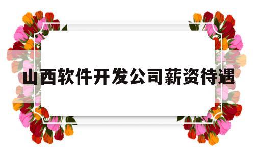 山西软件开发公司薪资待遇(山西软件研发招聘)