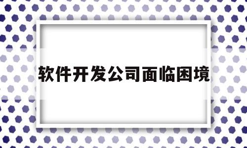 软件开发公司面临困境(软件开发公司的劣势)