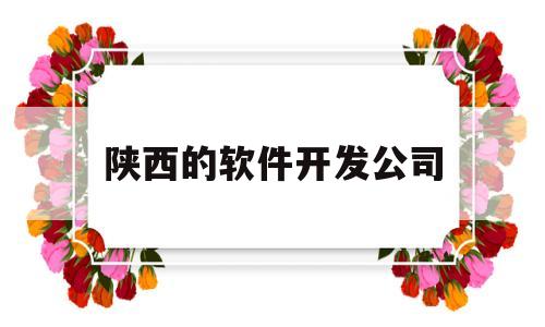 陕西的软件开发公司(西安软件开发公司招聘)