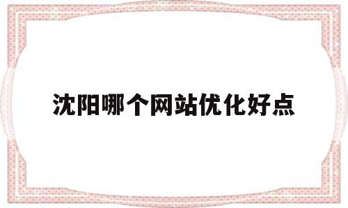 沈阳哪个网站优化好点(沈阳网站制作优化)