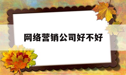 网络营销公司好不好(网络营销有限公司)