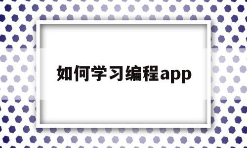 如何学习编程app(怎样学编程软件)