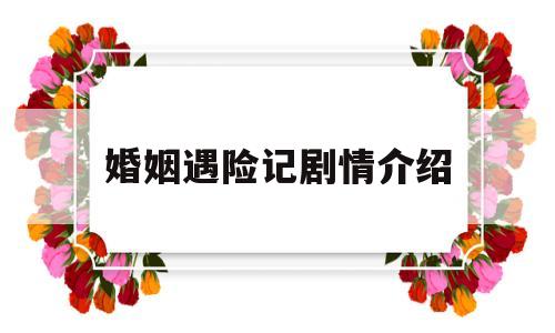 婚姻遇险记剧情介绍(婚姻遇险记电视剧大结局)