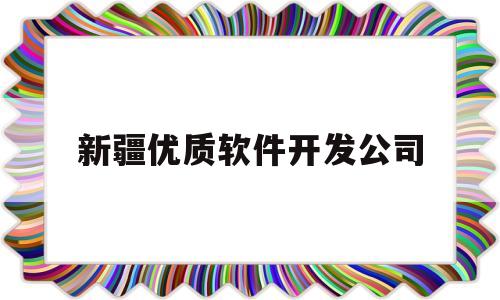 新疆优质软件开发公司(新疆软件开发公司大全)
