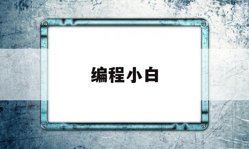编程小白(编程小白应该先学什么)