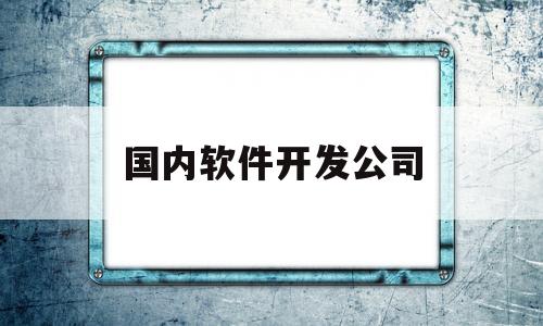 国内软件开发公司(全国软件开发公司排名前一百)