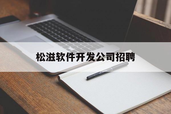 松滋软件开发公司招聘(湖北松滋最新招聘)