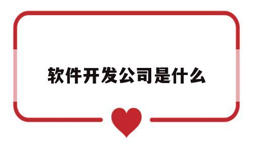 软件开发公司是什么(软件开发公司怎么样)