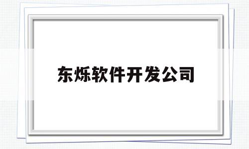 东烁软件开发公司(东烁软件开发公司招聘)