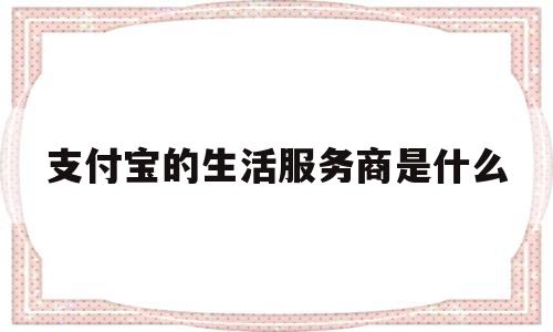 支付宝的生活服务商是什么(支付宝的生活服务商是什么意思)