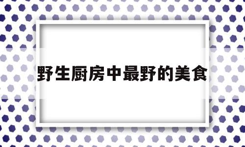 野生厨房中最野的美食(搜索野生厨房)