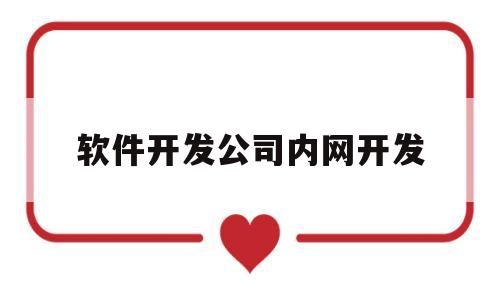 软件开发公司内网开发(企业内部软件开发)