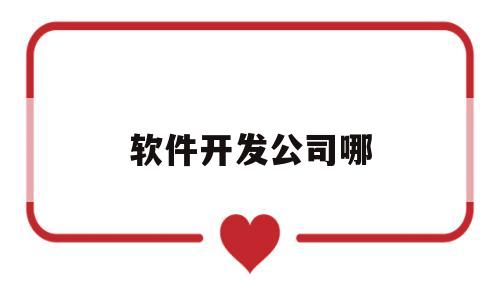 软件开发公司哪(软件开发公司哪里找业务)
