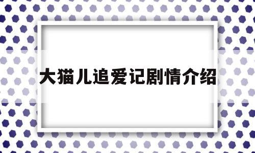 大猫儿追爱记剧情介绍(大猫儿追爱记全集在线播放)
