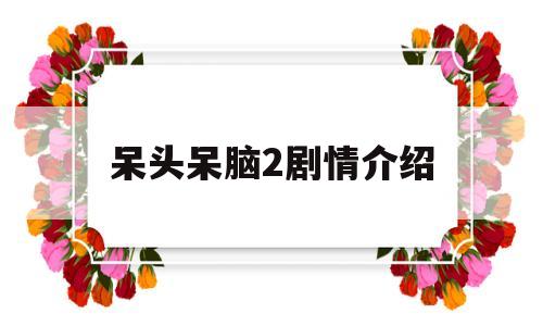呆头呆脑2剧情介绍(呆头呆脑每集演的什么内容)