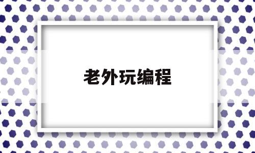 老外玩编程(外国人学编程是不是更容易)