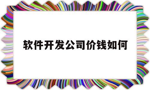 软件开发公司价钱如何(软件开发公司价钱如何计算)
