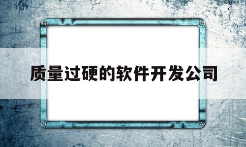 质量过硬的软件开发公司(质量过硬的软件开发公司有哪些)