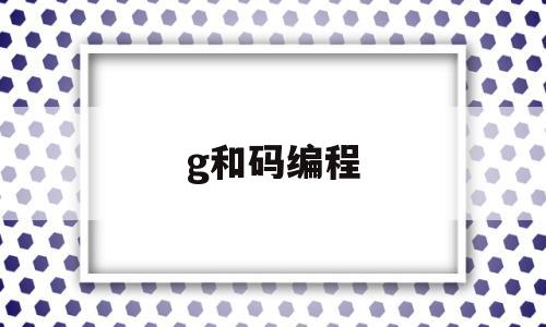 g和码编程(和码编程作品)