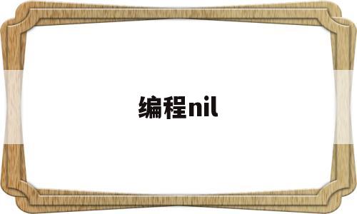 编程nil(编程nio)