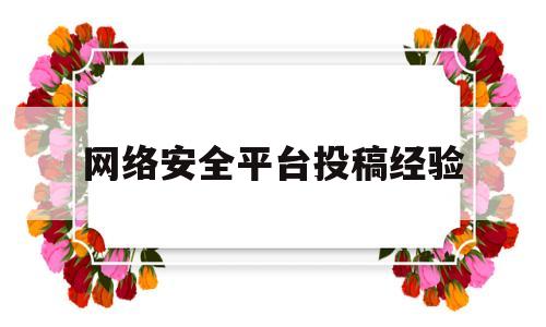 网络安全平台投稿经验(网络安全平台投稿经验怎么写)