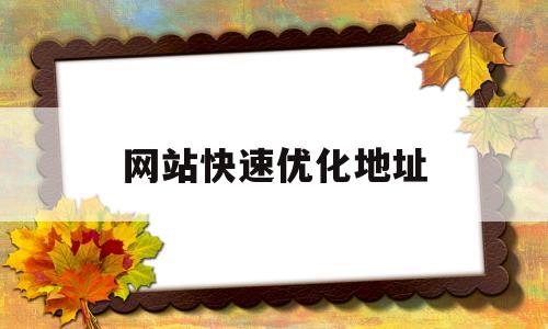 网站快速优化地址(快速的网站优化)