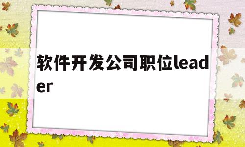 软件开发公司职位leader(软件开发公司职位有哪些)