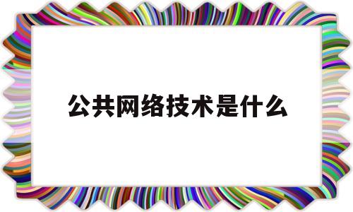 公共网络技术是什么(公共网络百度百科)