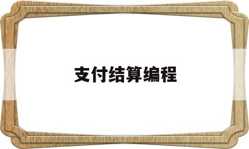 支付结算编程(支付结算书写规范)