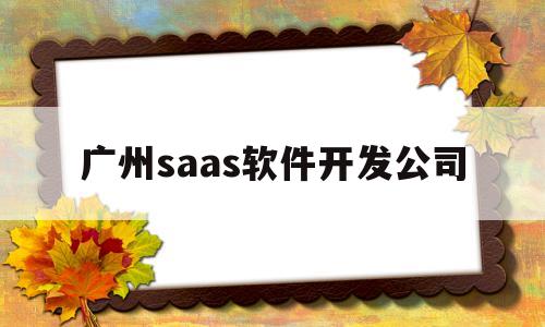 广州saas软件开发公司(广州知名软件开发公司有哪些)