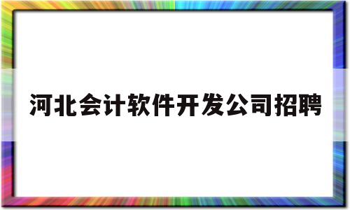 河北会计软件开发公司招聘(河北省软件开发公司)